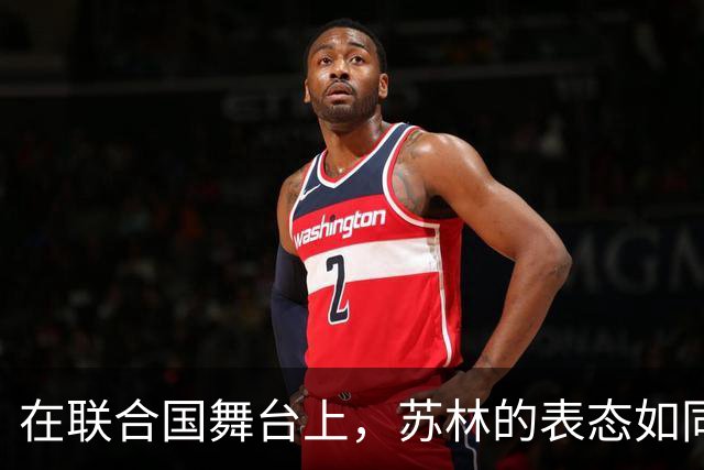 在联合国舞台上，苏林的表态如同一场外交“大秀