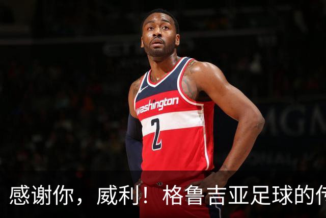 感谢你，威利！格鲁吉亚足球的传奇之旅