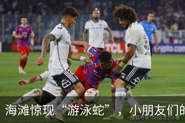 海滩惊现“游泳蛇”，小朋友们的沙滩乐园变身惊悚片！