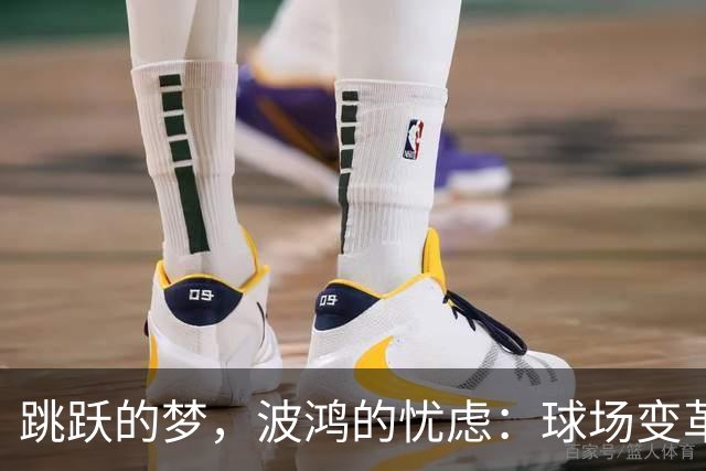 跳跃的梦，波鸿的忧虑：球场变革的“禁令
