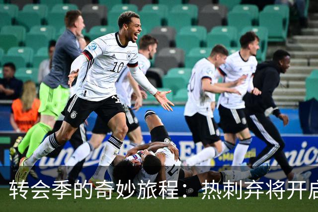 转会季的奇妙旅程：热刺弃将开启新篇，拜仁锁定未来