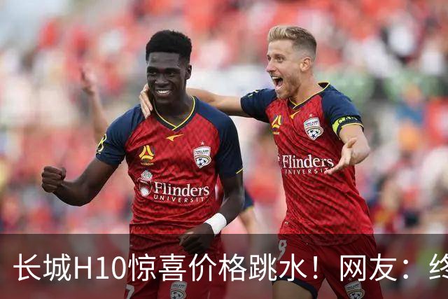 长城H10惊喜价格跳水！网友：终于等到这波便宜